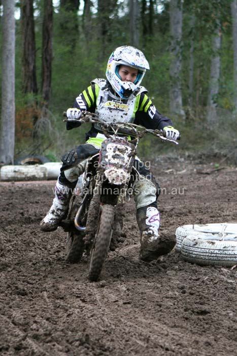 445x677 pixels (76K)